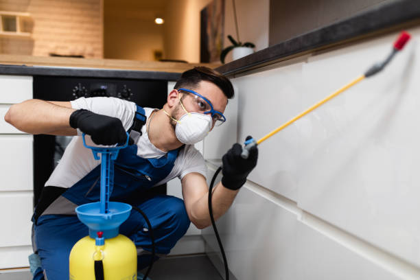 Best Mosquito Control Services  in New Kensington, PA