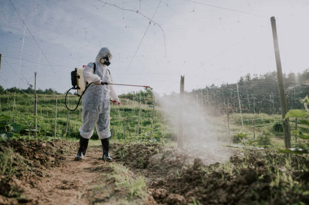 Best Pest Prevention Services  in New Kensington, PA
