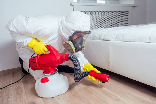 Best Pest Removal Services  in New Kensington, PA