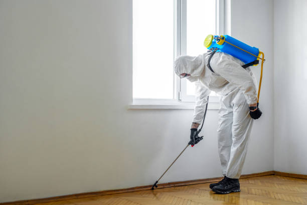 Best Emergency Pest Control  in New Kensington, PA
