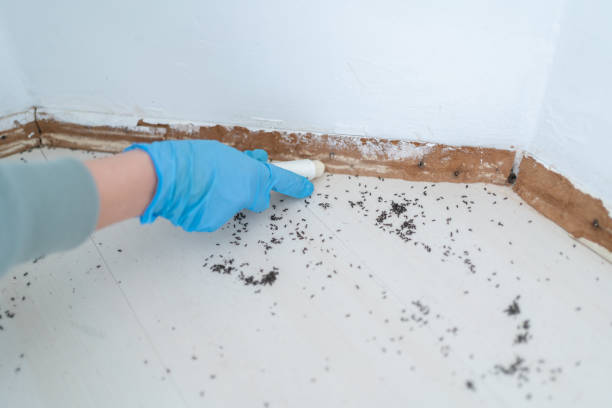 Best Pest Control for Businesses  in New Kensington, PA