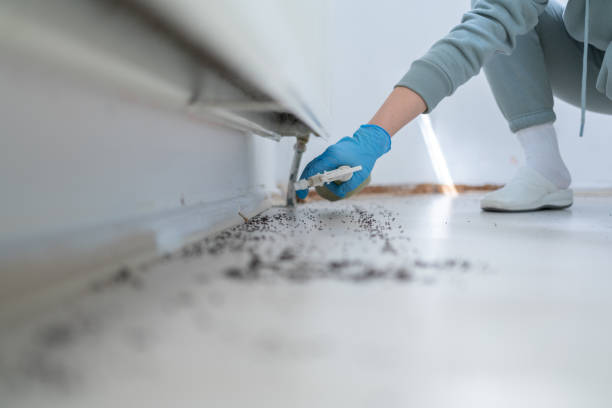 Best Residential Pest Control  in New Kensington, PA