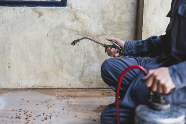Best Commercial Pest Control Services  in New Kensington, PA